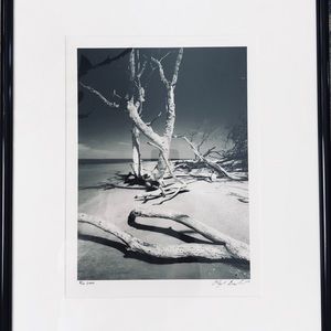 Clyde Butcher photos: Caya Costa and Moonrise.  SOLD!!!!